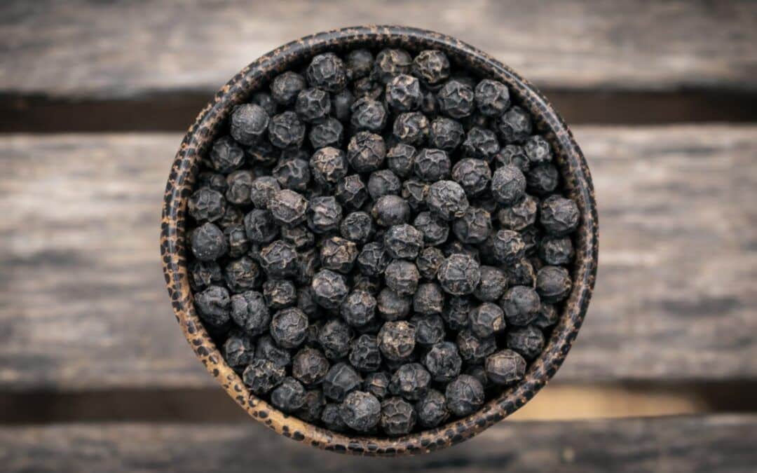Pepper Plantation Tours: Discovering Kampot's World-Famous Black Gold